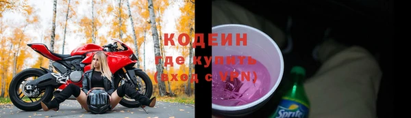 хмурый Елизово